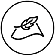 Alt Image